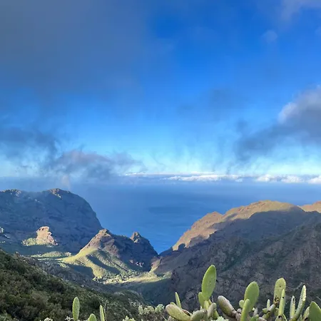 Sunny Vibes With Pool & Ocean Views Appartamento *