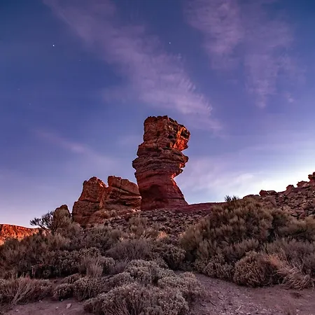 Daire Sunny Vibes With Pool & Ocean Views *