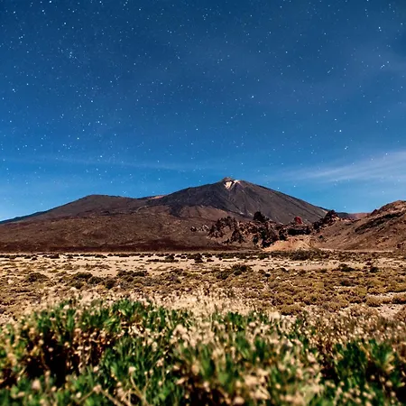 Daire Sunny Vibes With Pool & Ocean Views Costa Adeje