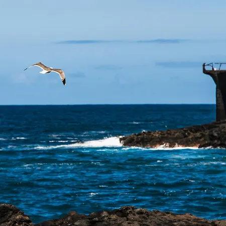Sunny Vibes Apartment With Pool & Ocean Views Lägenhet Costa Adeje (Tenerife)