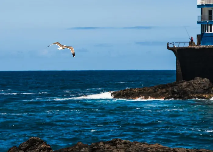 Sunny Vibes With Pool & Ocean Views Апартаменти Адехе