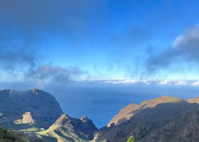 Sunny Vibes With Pool & Ocean Views Apartamento *